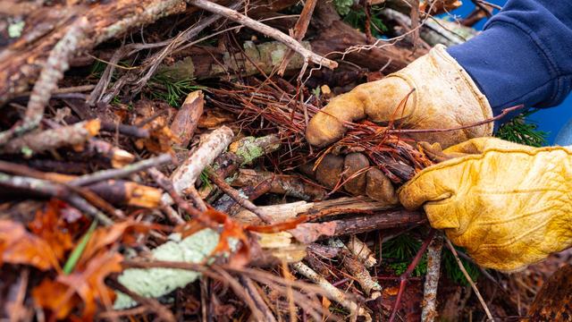 Decomposing yard matter