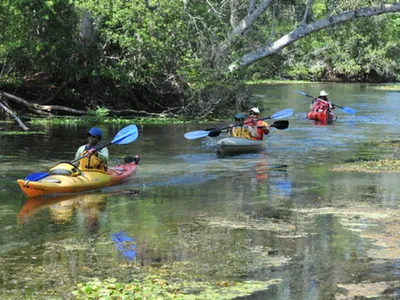 Kids in kayaks
