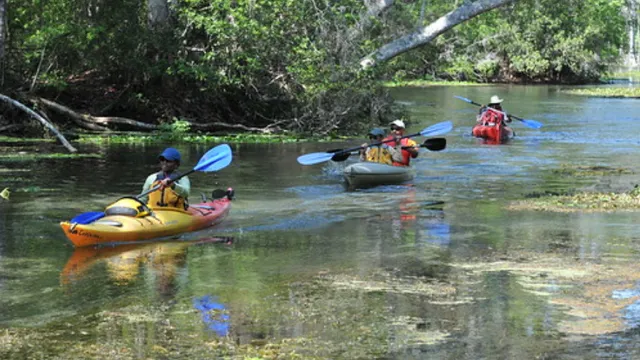 Kids in kayaks