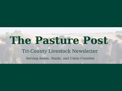 Pasture Post Newsletter Header, pic of cows in background