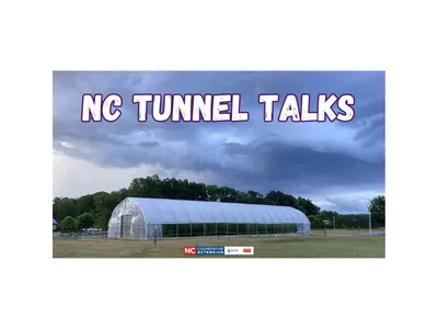 High tunnel and stormy sky