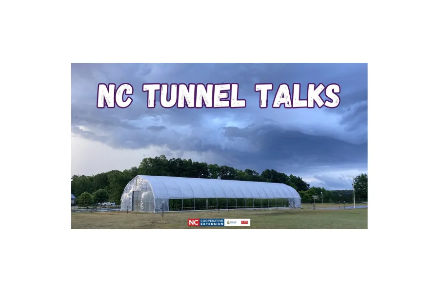 High tunnel and stormy sky
