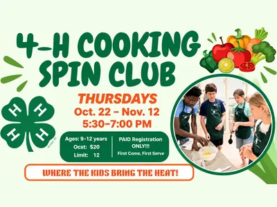 spin club