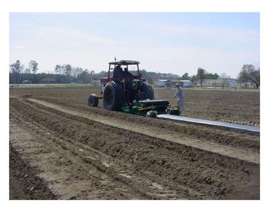 tractor