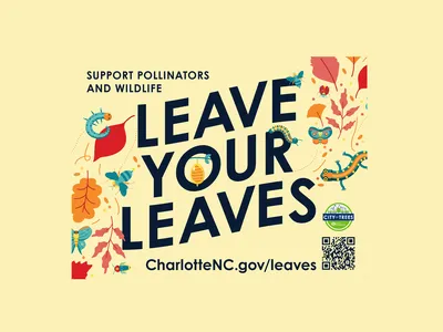 Support pollinators and wildlife, leave your leaves, charlottenc.gov/leaves