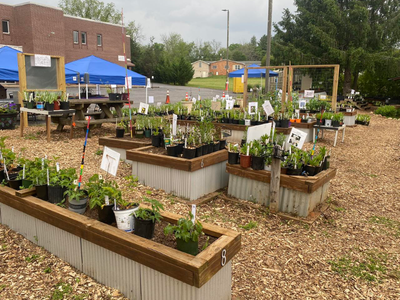 Demonstration garden with several raised beds filled with potted vegetable and flower plants arranged for sale or display. Blue canopy tents and tables sit nearby, and the garden area is covered with wood chips with signs labeling the plants.