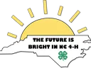 nc state outline with sun and the future is bright
