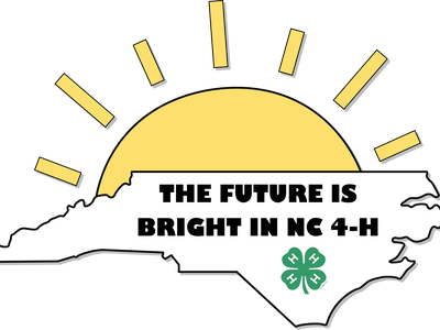 nc state outline with sun and the future is bright