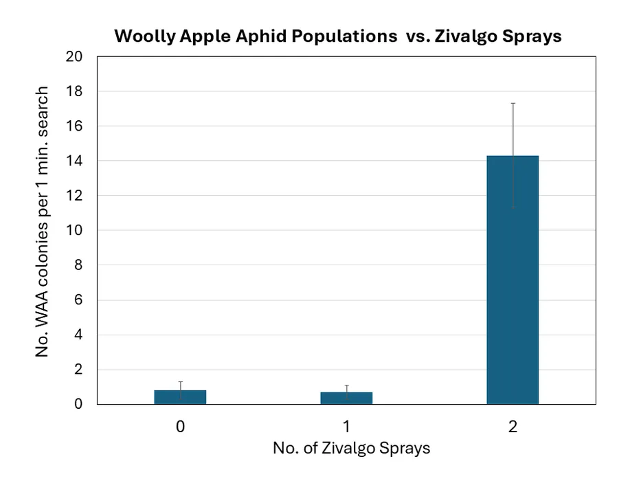Chart showing woolly apple aphid populations significantly higher in orchards receiving 2 sprays of Zivalgo versus orchards receiving 0 or 1 spray