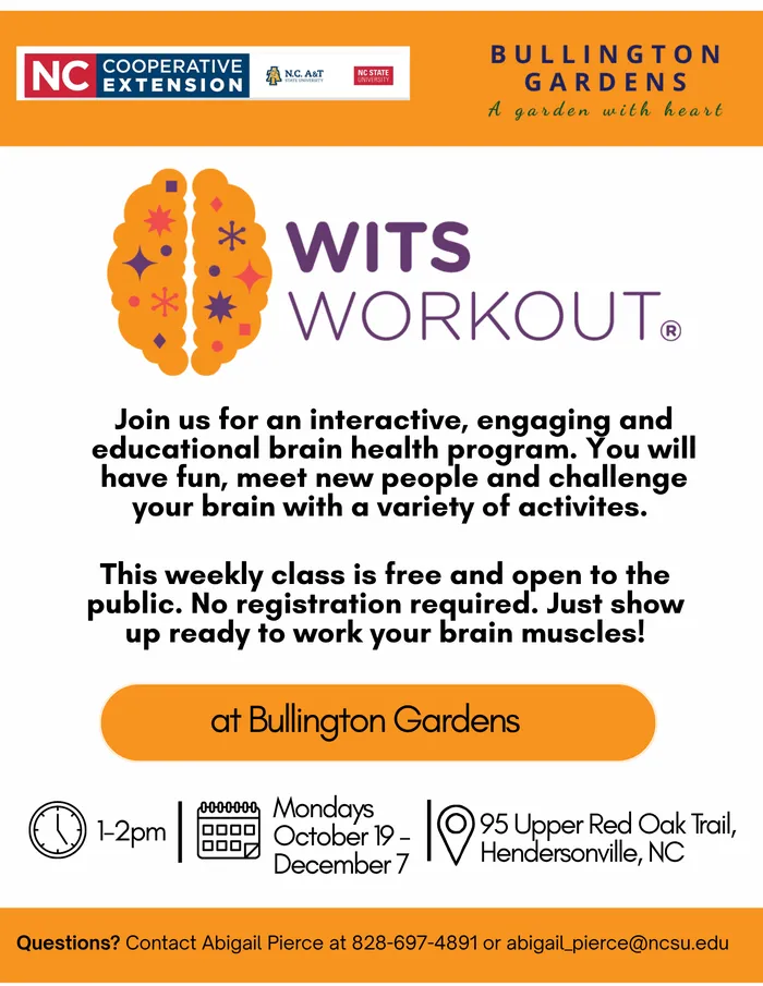 flyer for WITS workout including the dates, times and location - all of this information is found in the body of this article