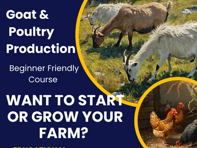 Goat and Poultry Production Flyer