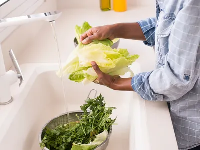 Person washing lettuce
