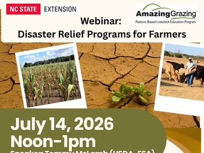 Webinar flyer showing topics, time and zoom link