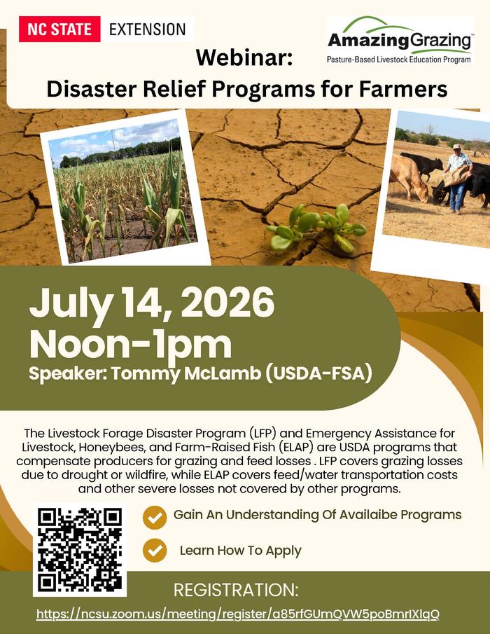 Webinar flyer showing topics, time and zoom link