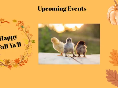 Yellow banner with text "Upcoming Events", "Happy Fall Ya'll", autumn leaves, pumpkin, and 3 chicks.