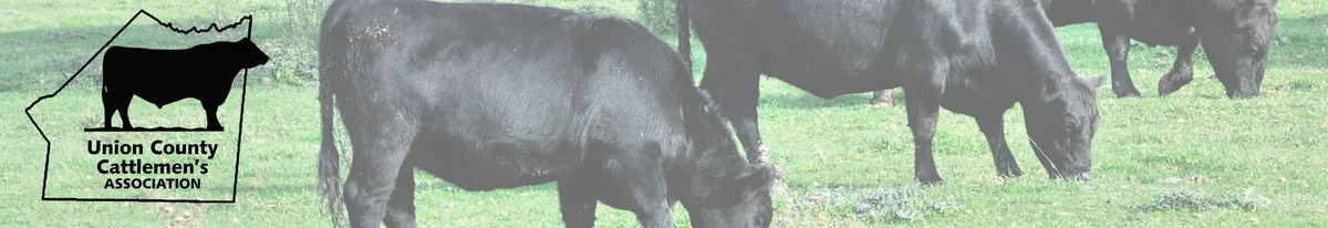The Union County Cattlemen's Association logo over a photo of black cows grazing in a green field