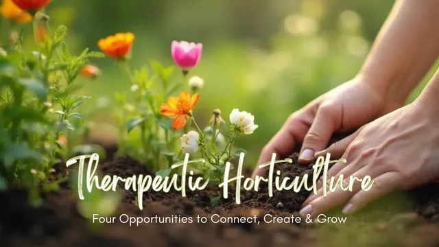 hands planting flowers in outside garden