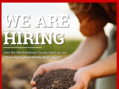 We are hiring. Join the Mecklenburg County team as our Urban Agriculture/Horticulture Agent!