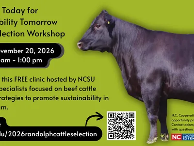 Selection Today for Sustainability Tomorrow Beef Extension Workshop at Randolph County.