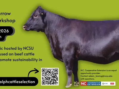 Selection Today for Sustainability Tomorrow Beef Extension Workshop at Randolph County.