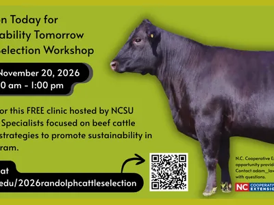 Selection Today for Sustainability Tomorrow: Beef Extension Workshop
