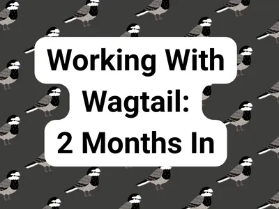 Working With Wagtail: 2 Months In
