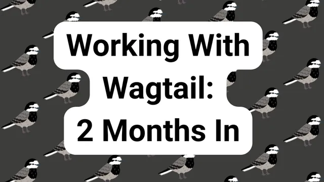 Working With Wagtail: 2 Months In