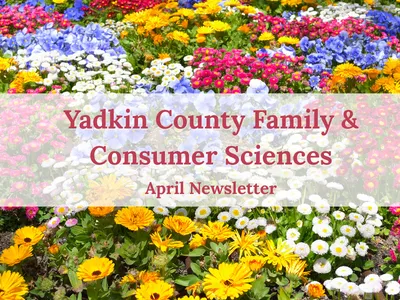 Yadkin FCS April 2026