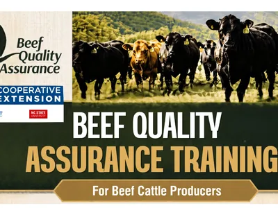 Beef Quality Assurance Graphic