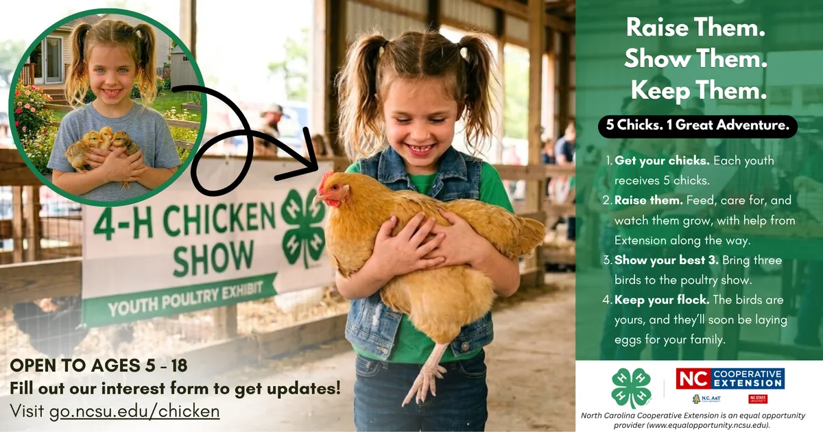 Youth Poultry Show Flyer