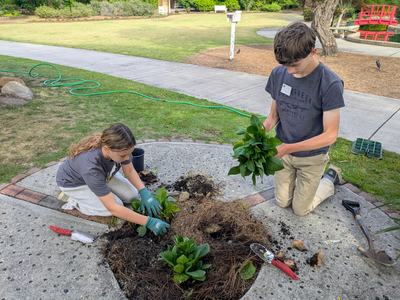 Youth planting flowers at the Arboretum.