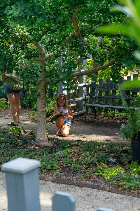 Youth will explore the NHC Arboretum to learn more about native plants and local landscapes