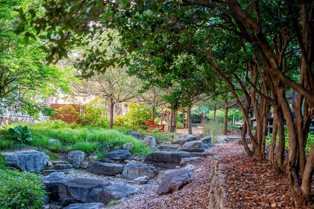 A creek winds through campus