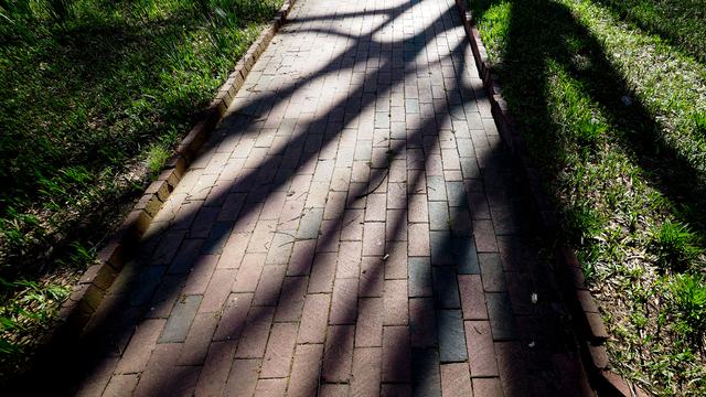 Brick walkway with tree shadows cast over it.