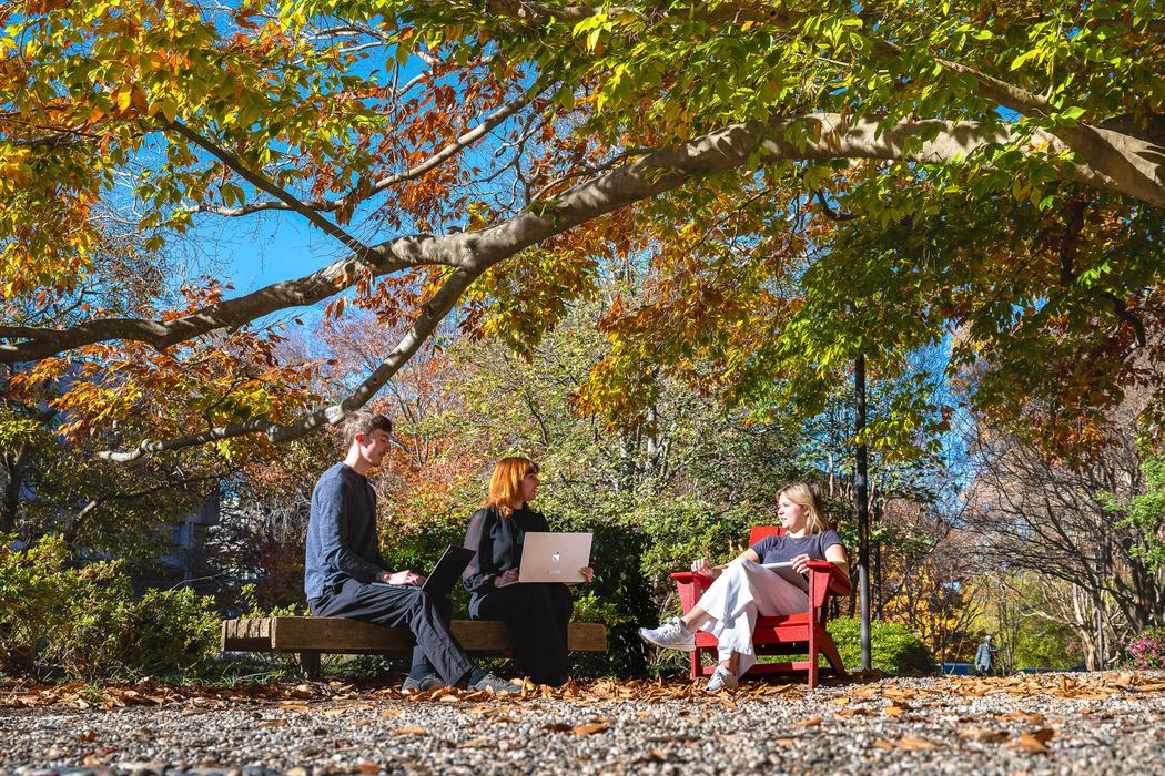 A group meets under a tree to study together.