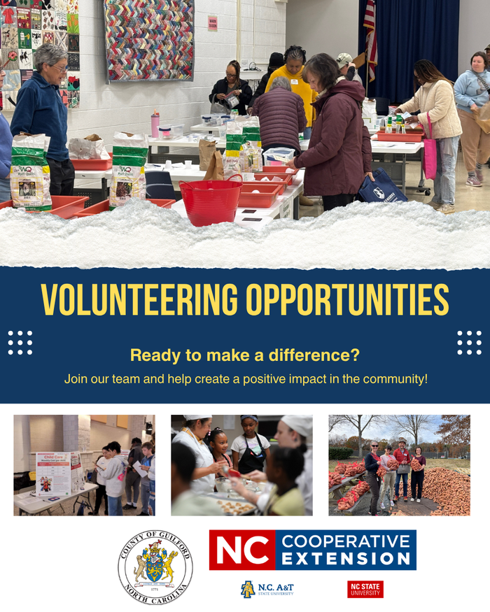 Volunteer With Guilford Extension!