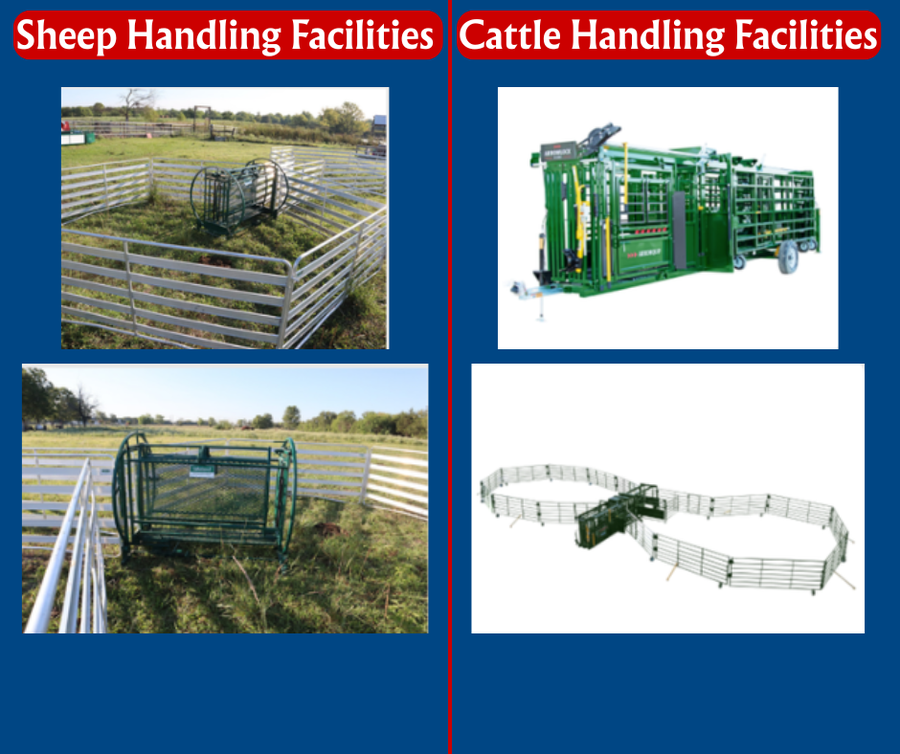 livestock handling equipment rentals at caswell county Cooperative Extension office