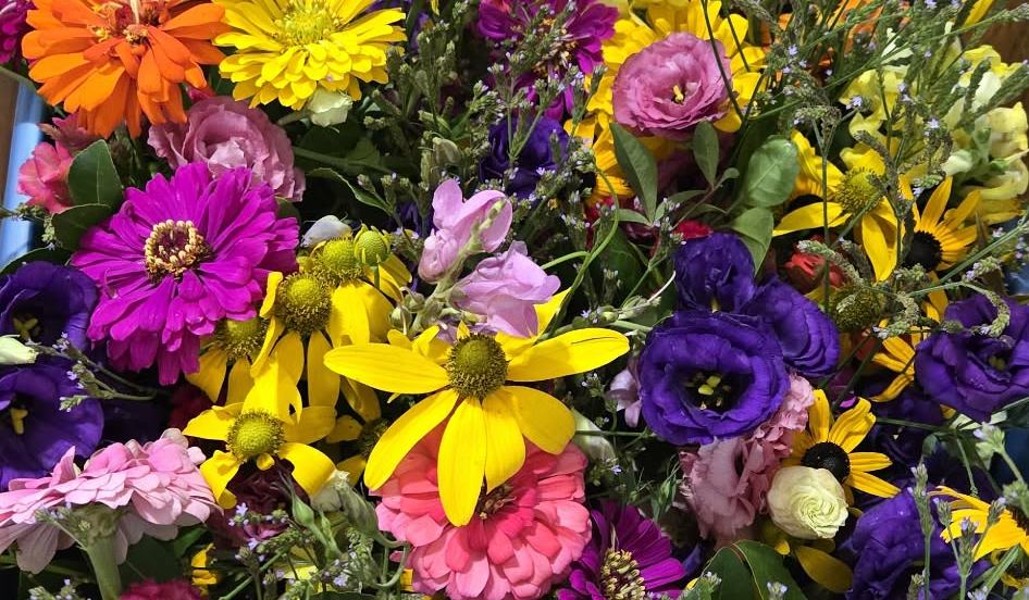 Elizabeth City Bloom Calendar - Pasquotank County Center | N.C. Cooperative Extension