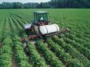 Tractor tending rows of crops in a large North Carolina farm field.