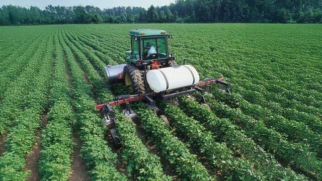 Tractor tending rows of crops in a large North Carolina farm field.
