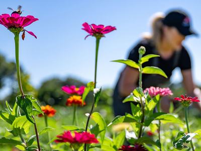 Spring gardening image