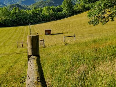 Pasture that has been cut