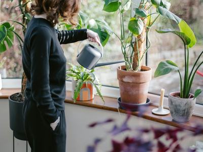 Young person with watering can watering plants in a bright window