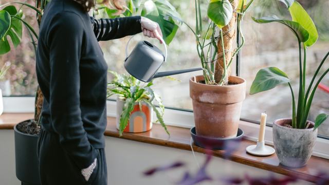 Young person with watering can watering plants in a bright window
