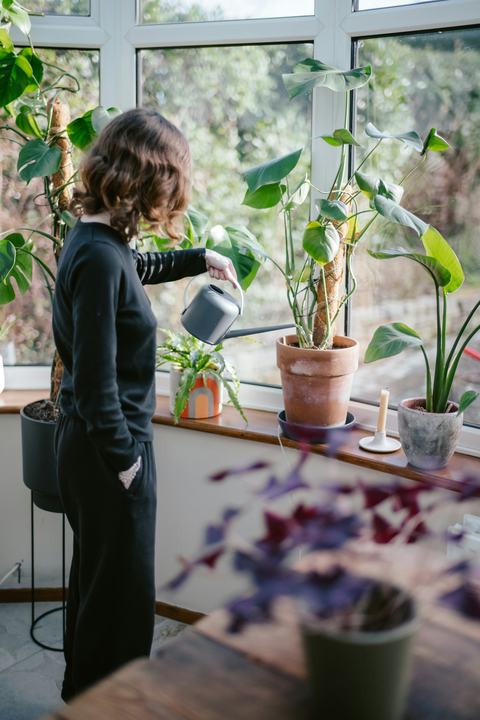 Young person with watering can watering plants in a bright window