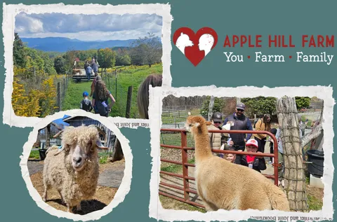 Apple Hill Farm Logo