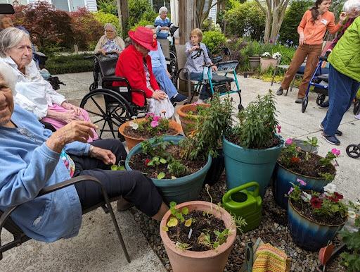 Elders work together to plant containers in a courtyard