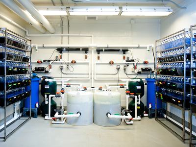 Water system with pipes