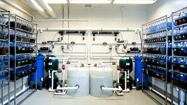Water system with pipes