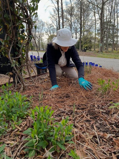 gardening